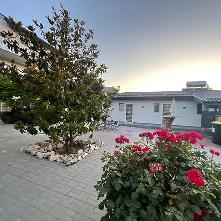 Hotel Dekor Costinesti Esterno foto