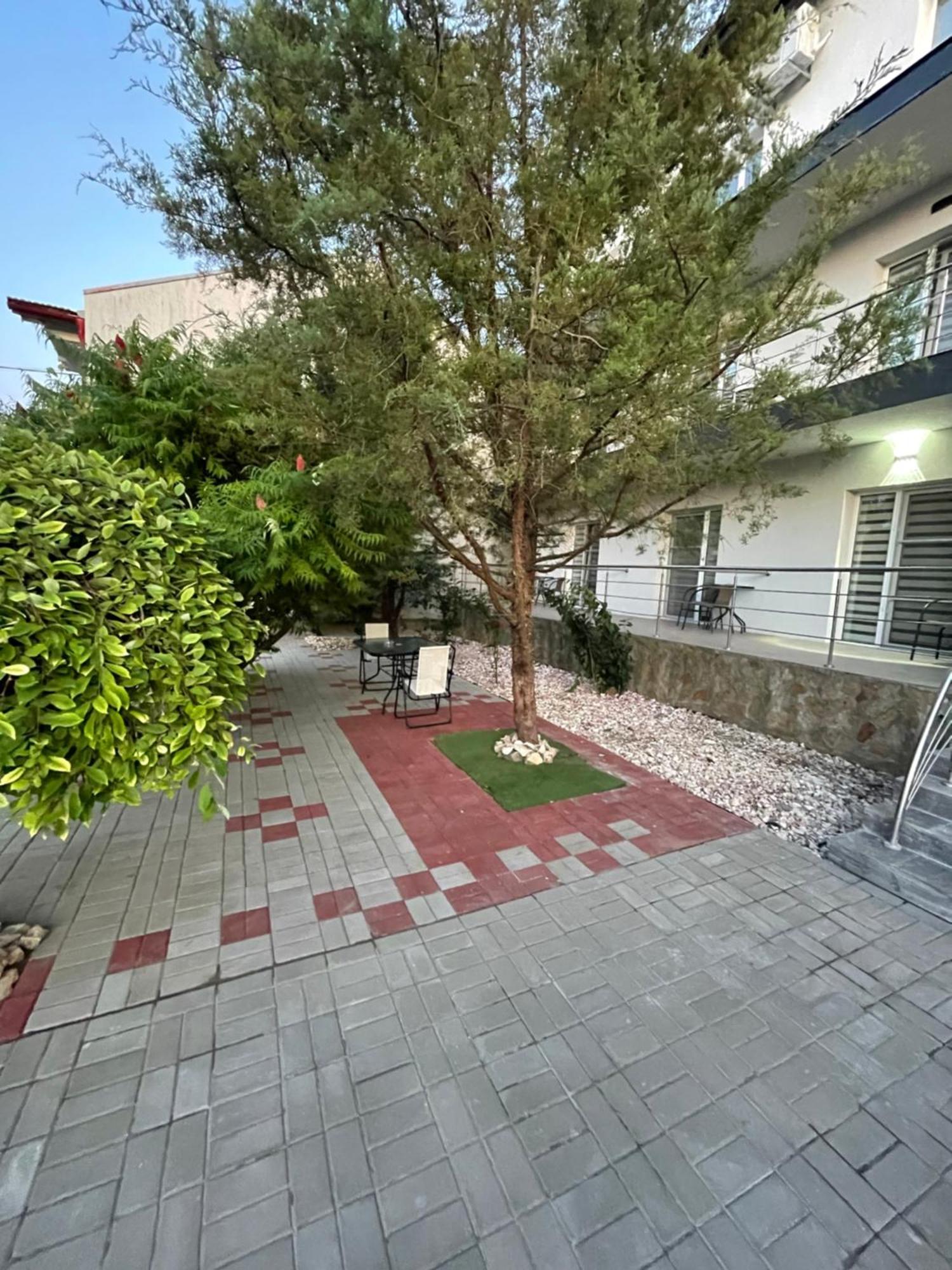 Hotel Dekor Costinesti Esterno foto